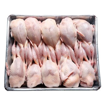 农家散养鹌鹑放血大鹌鹑新鲜现杀鹌鹑肉鹌鹑蛋乳鸽整箱腾旺纳跃农家散