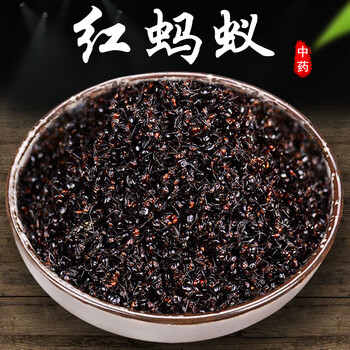 北京同仁堂红蚂蚁中药材500g特级野生红蚂蚁干风湿关节泡酒料精选 [红
