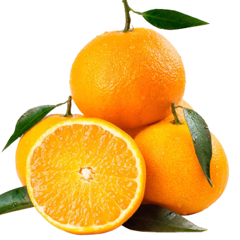 最新鲜的桔橘：京东桔橘价格走势、销量趋势分析，全网最低价抢购