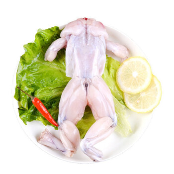 牛蛙新鲜冷冻牛蛙商用半成品 牛蛙烧烤食材牛蛙腿去头去皮 整箱重量