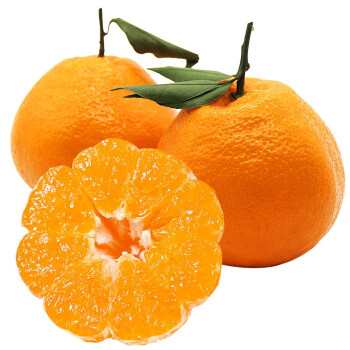 桃小蒙四川丹棱春见耙耙柑 橘子桔子 新鲜水果柑橘年货 5斤中果 13-16个