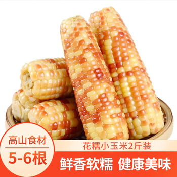 今日带货:摩飞锅