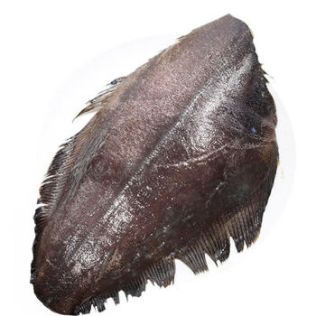 对于鸦片鱼就是牙鲆鱼别名的说法是错误的鸦片鱼学名格陵兰庸鲽偏口鱼