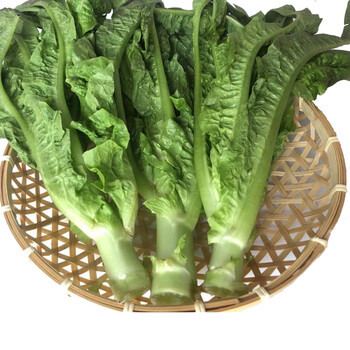 每日优鲜 本地香麦菜 300g