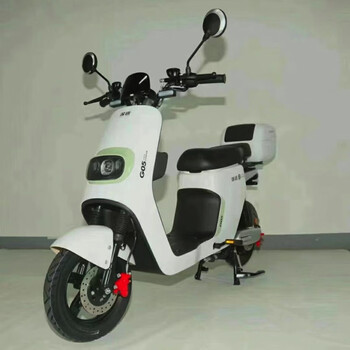 深远新款g05二代新国标电动车智能车电瓶车代步外卖年轻人电摩 48v60a