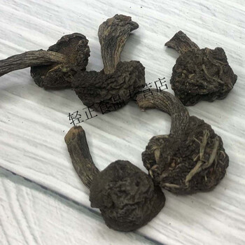 云舵东北松蘑粘团子松茸松蘑农村大锅菜黑云舵 100克