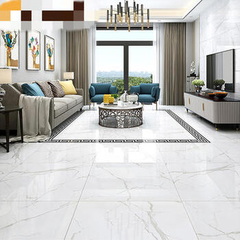 客厅地砖防滑金刚石灰色地板砖墙面砖 负离子通体大理石:宝路莎灰 800