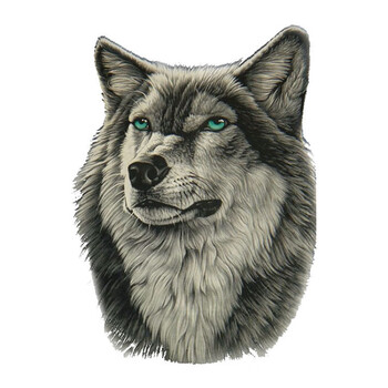 适用于狼图腾车贴狼头划痕个性车贴遮挡遮盖车身前后杠侧门车门大号车