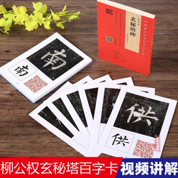 柳公权玄秘塔碑 近距离临帖卡 精选百字卡片附视频教程简体旁注