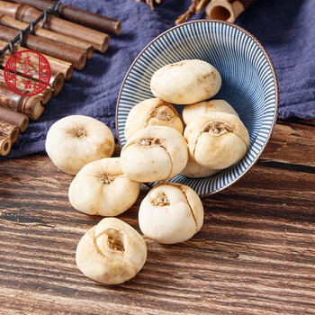 中药材浙贝母无硫浙贝母大贝无添加精品大贝 浙贝母500克