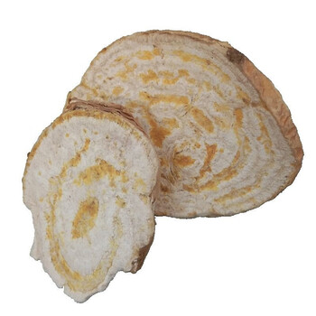 狼花毒根狼毒树根250-100克中药材狼根大戟根狼花根外用 狼毒 250 克