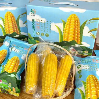 五芳斋红允麦秀年早安大苞米宝宝版金玉棒黄糯玉米200g*10支吉林 麦秀