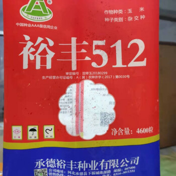 裕豐303之後裕豐308高產玉米種子大全批發抗倒矮杆國審大棒苞米種裕豐