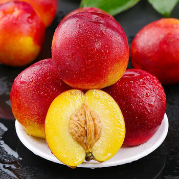 白衣鲜人 辽宁新鲜油桃净重1斤大果 大连黄心桃子当季时令新鲜水果