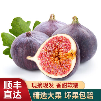 云南无花果现摘红皮无花果新鲜红皮无花果新鲜水果精选500g 买两份更划算 图片价格品牌报价 京东