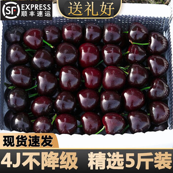 甜萌果蔬车厘子礼盒装【顺丰京咚】进口大樱桃黑红珍珠樱桃应季孕妇水果 500克带箱手挑精选 2J 大果