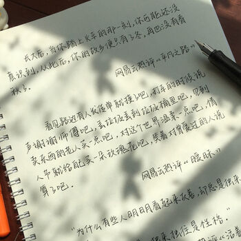 迅宸逸 奶酪字帖网红字体女生小清新练字贴成年手写情书翩翩体楷书