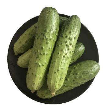 春光岛东北特产新鲜旱黄瓜2.5kg 小黄瓜农家自种现采摘蔬菜水果脆黄瓜