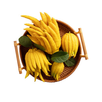 金华佛手鲜果新鲜佛手柑水培清供佛手花摆放闻香食用 2斤【图片 价格