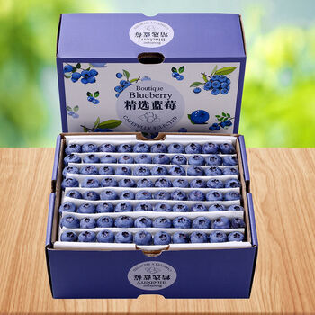 丸宠【优选蓝莓】优选蓝莓大果 新鲜水果 4盒装 500g
