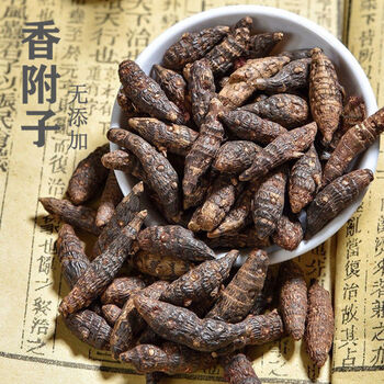 香附中药材香附香附片精选炒香附醋香附雀头香香附片无硫 香附片 精选