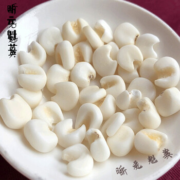 茶影婆娑雪芽米包谷广西糯玉米头整粒玉米大颗白玉米粒杂粮干玉米粒5