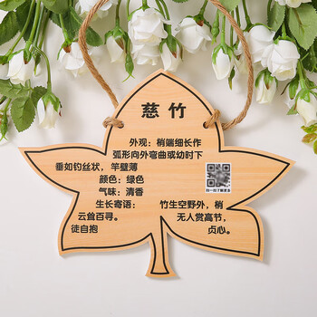 麦桑荷树牌花草牌亚克力植树节植物挂牌树木认养介绍标识提示牌设计