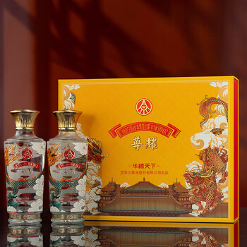 五粮液股份出品  浓香型白酒 过年送礼 商务宴请 52度 500mL 2瓶 华樽天下一盒