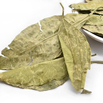 橘叶500克中材广东橘子叶金桔叶金橘叶无硫甜橘叶