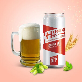 兰州黄河啤酒 500ml*12听黄河王10度罐装 泡沫箱装整箱 500ml*12听