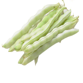 京鲜配送新鲜芸豆山东蔬菜老来少芸豆现摘现发白不老九粒白四季豆应季