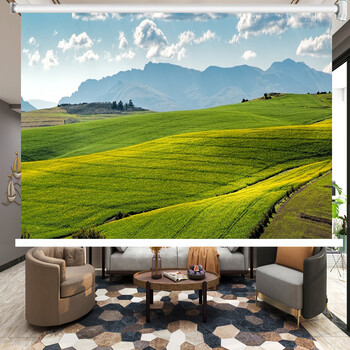 立体画卷帘卷帘现代简约3d立体山水画海边风景窗帘家用卧室客厅厨房