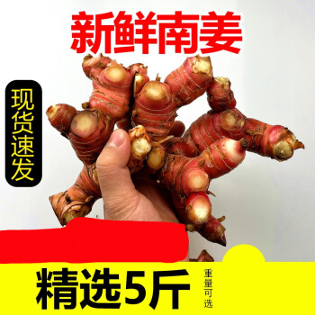 南姜潮汕新鲜精选野生山姜牛羊肉火锅卤味去膻提味调料南姜500g