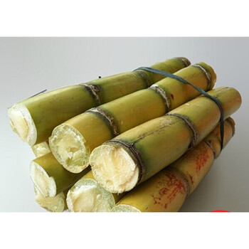 亿雪青广东黄皮甘蔗新鲜水果当季特产甜脆杆整箱5斤
