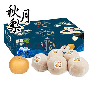 南棠山东秋月梨正宗中秋冰糖梨带箱礼盒送礼当季 精选秋月梨5斤装 普通箱净重4.5斤6-9个