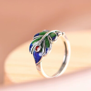 回忆拾光huiyishiguan925银珐琅羽毛戒指感男女款国潮民族风复古开口