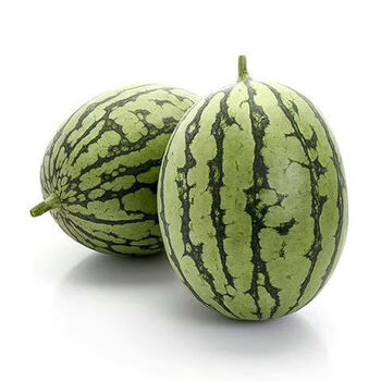 庞各庄小西瓜袖珍西瓜皮薄肉脆水果西瓜新鲜当季现货收货地址京津冀