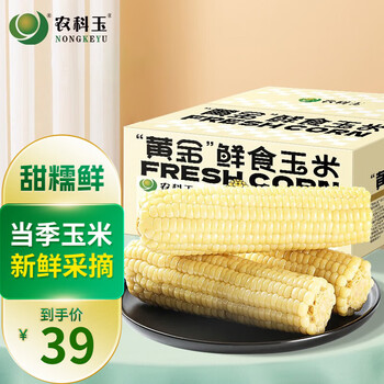 农科玉（NONGKEYU）九哈甜糯玉米新季玉米东北玉米粘软糯鲜香真空包装 【新上市】白甜糯玉米6根