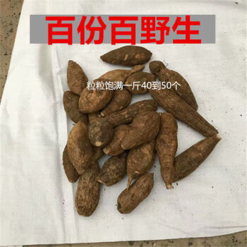 小黑牛草药图图片