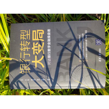 银行转型大变局：对话银行数字金融操盘者（对话银行数字金融操盘者）