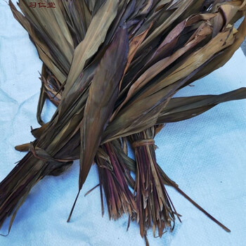 中药原材料红铁树叶朱蕉叶铁树叶铁连草红叶铁树中草药500克