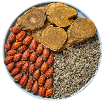 茵陈蒿汤新鲜茵陈白蒿茶绵茵陈栀子大黄甘草黄柏加减