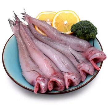 鲜活豆腐鱼新鲜无刺龙头鱼速冻九肚鱼 一斤约10条左右 五斤