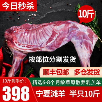 2023年2月15日更新【万能白菜价】的图片 第49张