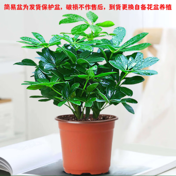 2023年8月14日更新【万能白菜价】的图片 第43张