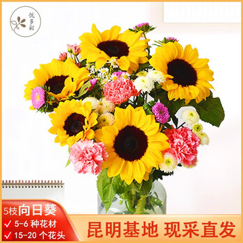 悦多彩毕业季花束每周一花向日葵多色非洲扶郎菊包月鲜花速递生日父亲节日礼物家居用办公室鲜切花5支向日葵花束1个月4束1周发1次 图片价格品牌报价 京东