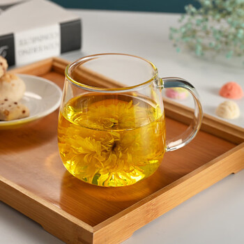 Glasslock玻璃杯水杯高硼硅玻璃耐冷耐热泡茶杯带把手水杯咖啡杯450ml