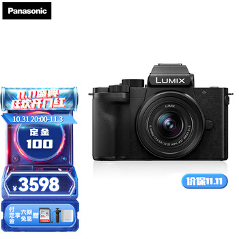 松下（Panasonic） G100 微单/单电无反数码相机 vlog防抖 自拍翻转屏 G100K【12-32mm F3.5-5.6】