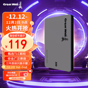 长城（Great Wall) 256GB SSD固态硬盘 SATA3.0接口 读速540MB/S台式机/笔记本通用 GW560系列 