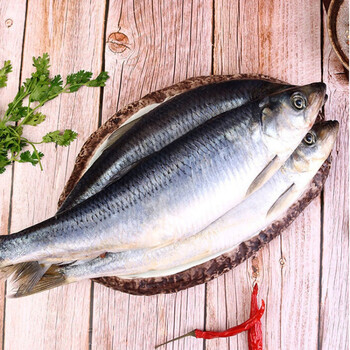 野生青鱼东北沙丁鱼新鲜海鲜野生深海冷水鱼懒人之宝鲱鱼整箱 净重1斤